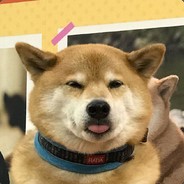 Niko