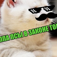 Игорь Михайлов