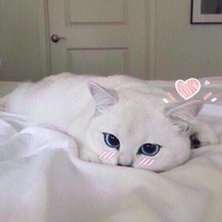 Дарья Кёлер