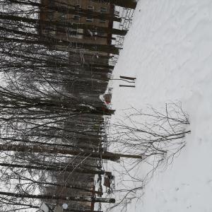 Ирина Белова