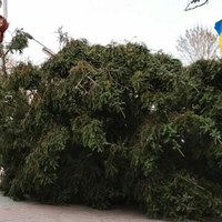 Илля Пилипенко