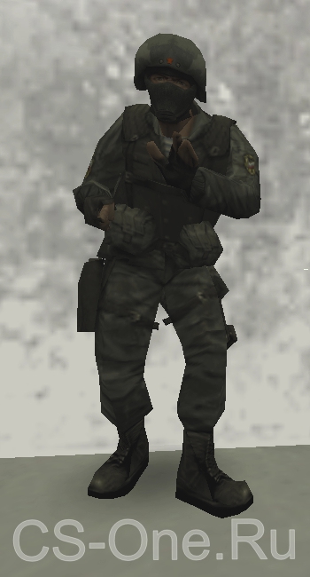 _pmg2.jpg